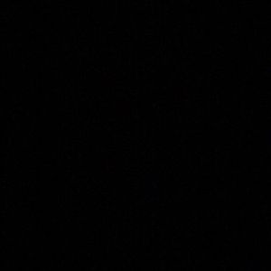 Meet your Posher, Liv